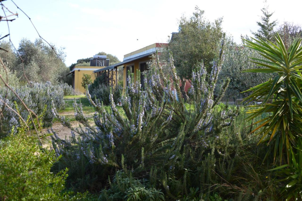 B&B Casa Per Ferie Villaggiocarovana Castiadas Exterior photo